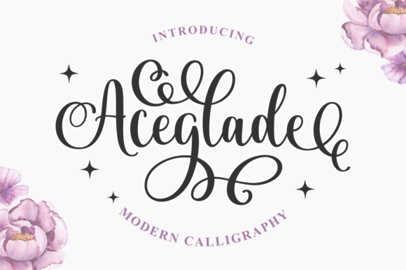 Aceglade: Elegant Script Handwritten Font for Designers