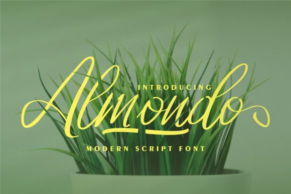 Almondo: A Modern Script Font for Elegant Editorial Design