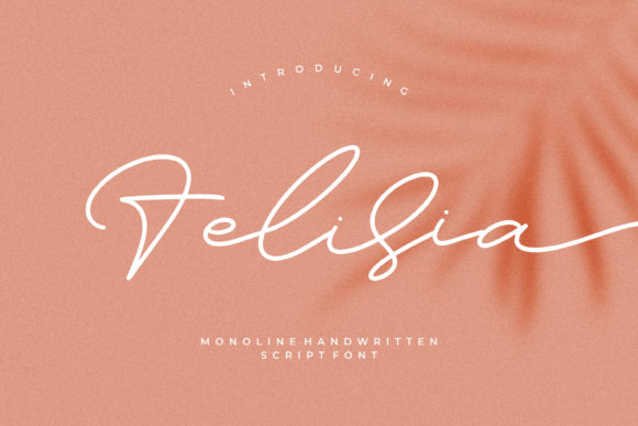 Felisia: A Graceful Script Font for Small Business Branding