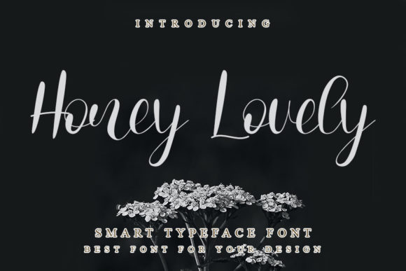 Honey Lovely Script Font for Creative Web Design