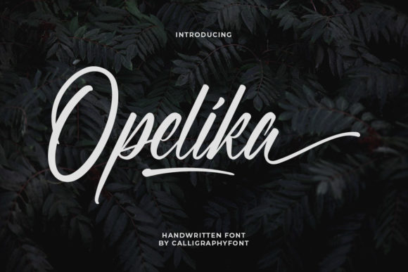 Opelika: A Playful Script Handwritten Font for Modern Web Design